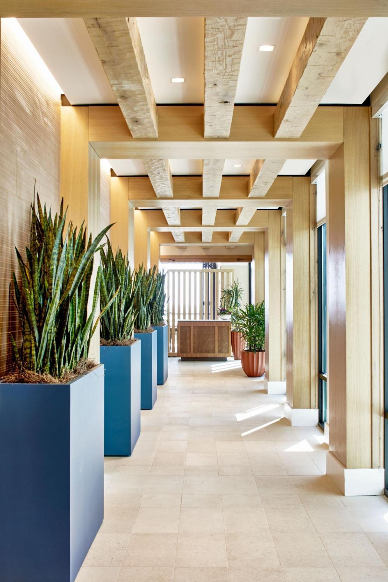 Springhill Suites By Marriott Jacksonville Beach Oceanfront Luaran gambar